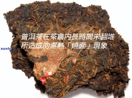 普洱茶饼发霉了怎么处理：如何清理和安全饮用发霉的普洱茶饼