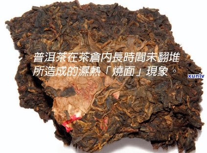 普洱茶饼发霉了怎么处理：如何清理和安全饮用发霉的普洱茶饼