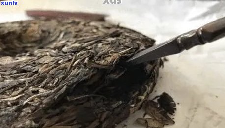 选择合适的刀具来剪普洱茶饼：全面指南与建议