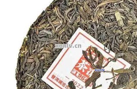 普洱茶的橡筋条工艺详解：材质、 *** 过程与普洱橡筋茶的关系