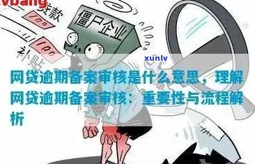 逾期报备的含义、原因及解决方案：一个全面的指南