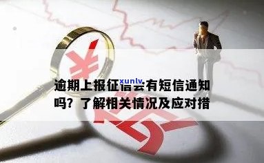 报送逾期信怎么办：关于逾期记录报送的通知与影响