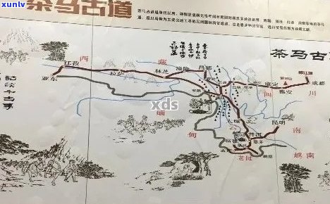 探索普洱茶马古道：历文化、地理特色和传统贸易的综合指南