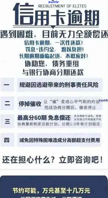 如何消除信用卡逾期半年记录？全面解决用户搜索问题的建议与策略