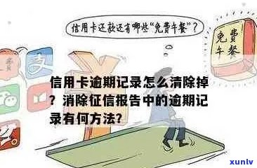 如何消除信用卡逾期半年记录？全面解决用户搜索问题的建议与策略