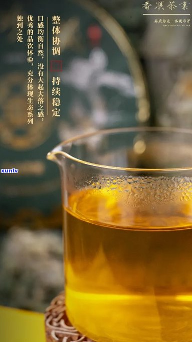 百年传承番顺茶业：品质乌龙，健生活之选