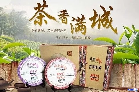 番顺普洱茶官网店：加盟 *** 、地址与产品详情