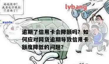 有逾期信用卡会降额吗？为什么？如何处理？