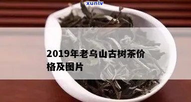 2019老乌山普洱茶价格行情及口感分析