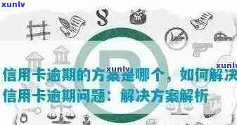 信用卡逾期债务重组：法律策略与实践分析