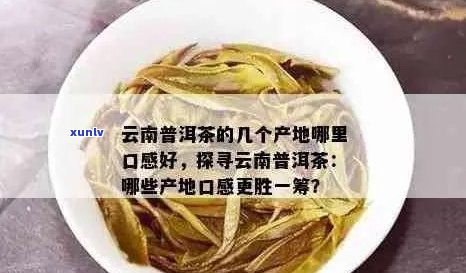 云南普洱茶：甜度、口感、品质与健之间的关系