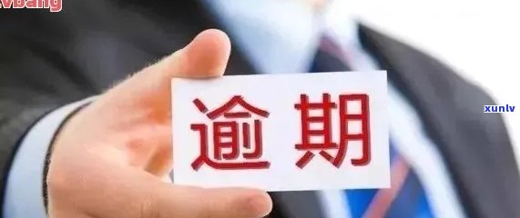 逾期还款信用卡：罚息减免停息、冻结解除及影响全解析