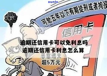 逾期还款信用卡：罚息减免停息、冻结解除及影响全解析