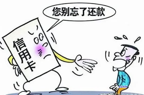 逾期信用卡滞纳金免除策略：与哪些人或部门沟通最有效？