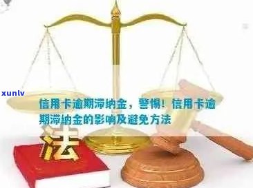 逾期信用卡滞纳金免除策略：与哪些人或部门沟通最有效？