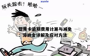 逾期信用卡滞纳金免除策略：与哪些人或部门沟通最有效？