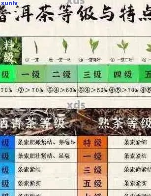 新普洱茶等级与其甜度关系探讨，低级茶叶更甜美的原因揭秘