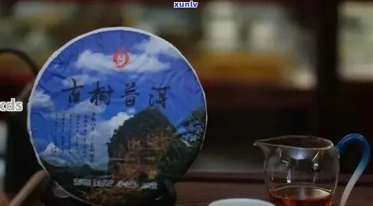 雨林普洱茶：品味雨荷之韵，探索雨林生态与茶文化之美