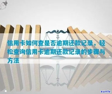 如何查询信用卡逾期记录？了解详细步骤和注意事项