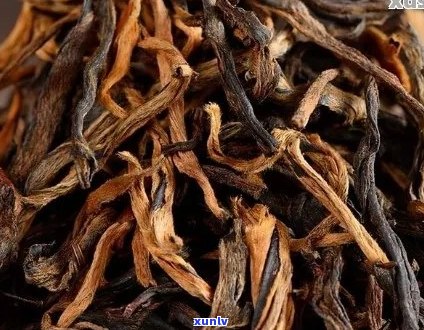 滇红是普洱茶做的吗？滇红和普洱茶的原料有什么区别？