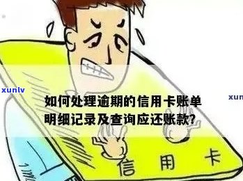 如何查询信用卡逾期还款记录：详细步骤与注意事项