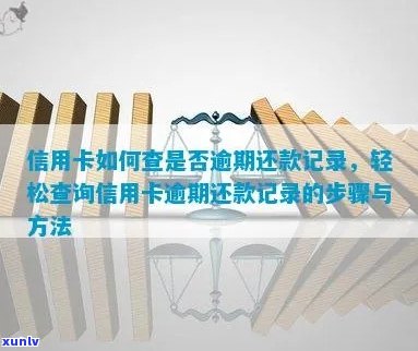 如何查询信用卡逾期还款记录：详细步骤与注意事项