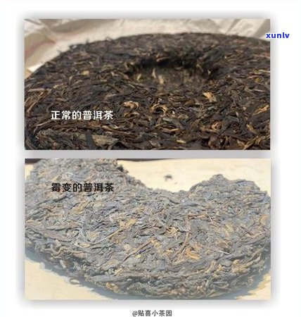 普洱茶好与差的鉴别 *** ：怎样分辨普洱茶的好坏？