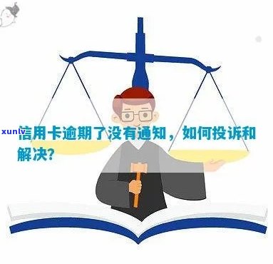 新信用卡逾期未收到短信提醒，该如何合理投诉维护权益？