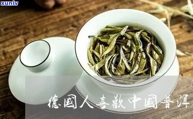 德国人喜欢普洱茶吗