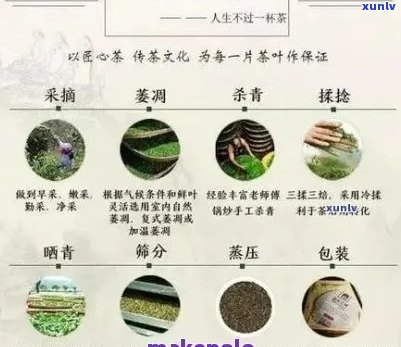 贡眉茶和普洱茶的价格对比：哪个更昂贵？了解两种茶叶的成本分析