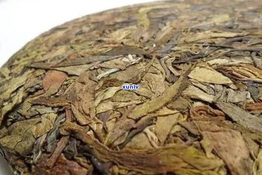 贡眉茶和普洱茶的价格对比：哪个更昂贵？了解两种茶叶的成本分析