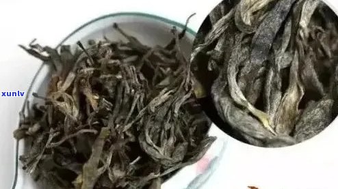 贡眉和普洱哪个好？全面对比分析让你轻松选择适合你的茶叶