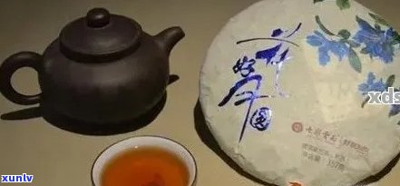 普洱茶80周年念：品质、历、文化与品鉴全解析