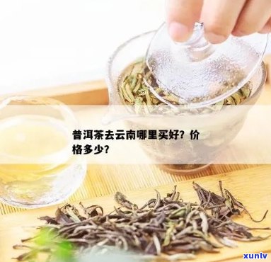 怎么买云的普洱茶好喝：价格合理，口感佳