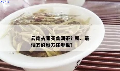 怎么买云的普洱茶好喝：价格合理，口感佳