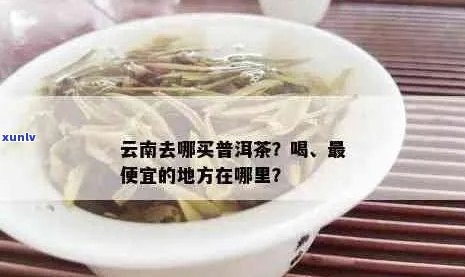 怎么买云的普洱茶