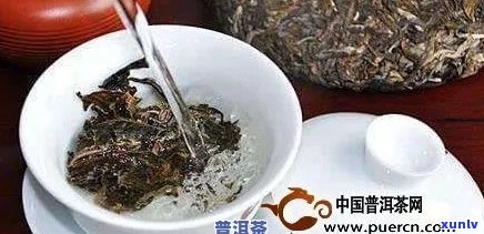 饮普洱茶的好处与注意事项：适合所有人饮用吗？