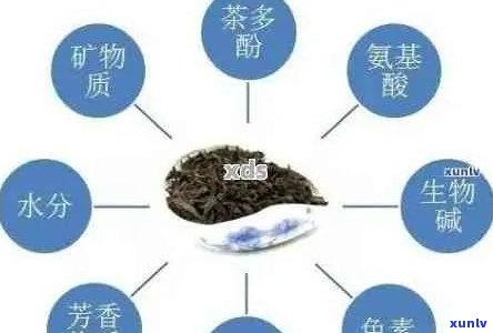 普洱茶的香味属于陈醇型，还是浓香？它是天然的香精还是大自然的馈赠？