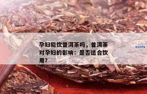 喝普洱茶对怀孕的影响：事实与科学解析