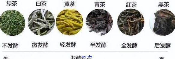 品饮级茶：了解其品质、种类与冲泡 *** ，全面解答您的茶相关疑问