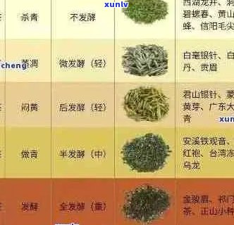 普洱茶几种类型的茶叶：哪种，都是什么茶？