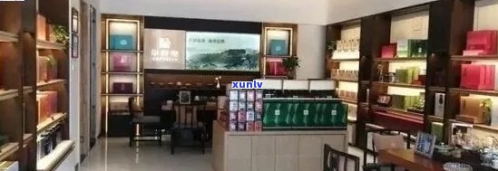 萍乡熟普洱茶连锁店：品质茶叶与专业服务一应俱全，让您畅享悠闲时光