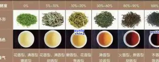 普洱茶几种类型的茶叶：哪种，都是什么茶？