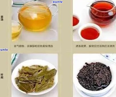 普洱茶七大系列：品味不同，哪款最合你口味？