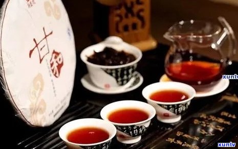 普洱茶七大系列：品味不同，哪款最合你口味？