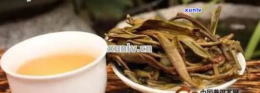 普洱茶的分类及其特色：哪几种茶叶值得品尝？