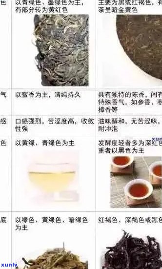 普洱茶的分类及其特色：哪几种茶叶值得品尝？