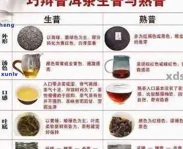 普洱茶的分类及其特色：哪几种茶叶值得品尝？