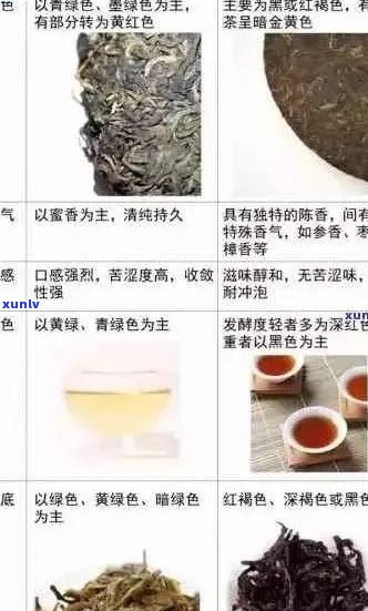 普洱茶的分类及其特色：哪几种茶叶值得品尝？