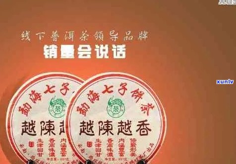 鹏程茶厂精选古树普洱茶：品质越，回味悠长